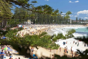 iVenture Sydney Attraktionen Flexi Pass