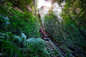 Katoomba: Blue Mountains Hop-On Hop-Off Bus & Scenic World
