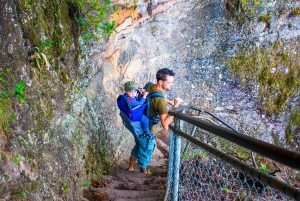 Katoomba: Blue Mountains Hop-On Hop-Off Bus & Scenic World