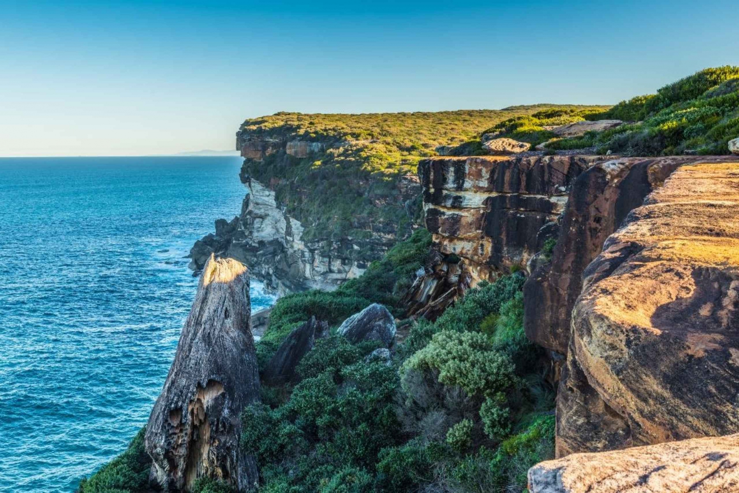 Sydneystä: Royal National Park Private Tour