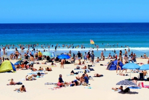 Yksityiset kierrokset: Sydney City and Sightseeing Tour: Kokopäivän Sydneyn kaupunki- ja kiertoajelu