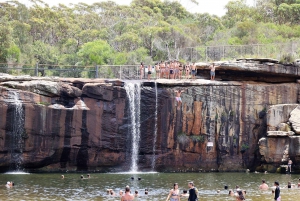 Royal National Park: hiking and sightseeing full day trip