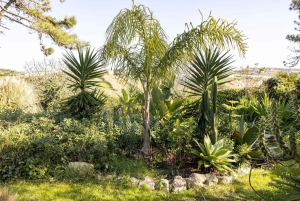 Santa Cruz: surf house e campeggio in Portogallo