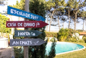 Santa Cruz: surf house e campeggio in Portogallo