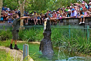 Somersby: Australian Reptile Park Day Pass - kl. 9 til 17