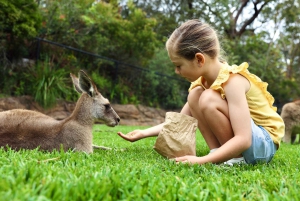 Somersby: Australian Reptile Park Day Pass - 9am to 5pm
