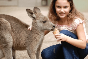 Sydney: Passe de 2, 3 ou 5 dias com atrações ilimitadas