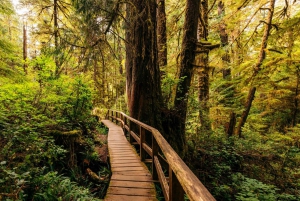 Sydney: Tour privado de 2 días a las Montañas Azules y Kiama