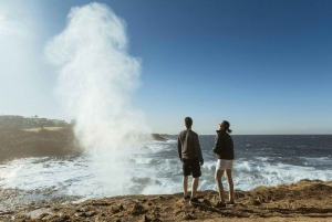 Sydney: Tour privado de 2 días a las Montañas Azules y Kiama