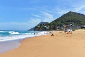 Sydney: Tour privado de 2 días a las Montañas Azules y Kiama