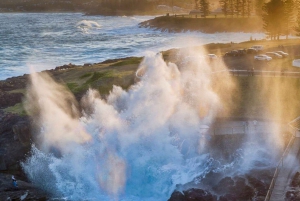 Sydney: Tour privado de 2 días a las Montañas Azules y Kiama