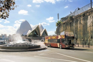 Sydney: Tour del Big Bus in autobus Hop-on Hop-off con crociera opzionale