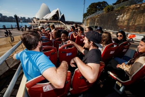Sydney: Big Bus Hop-On Hop-Off Tour with Optional Cruise