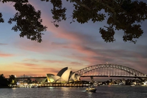 Sydney: Big Bus Hop-On Hop-Off Tour with Optional Cruise