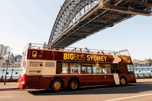 Sydney: Big Bus Open-Top Hop-on Hop-off Tour