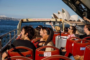 Sydney: Big Bus Open-Top Hop-on Hop-off Tour