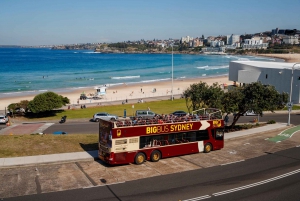 Sydney: Big Bus Open-Top Hop-on Hop-off Tour