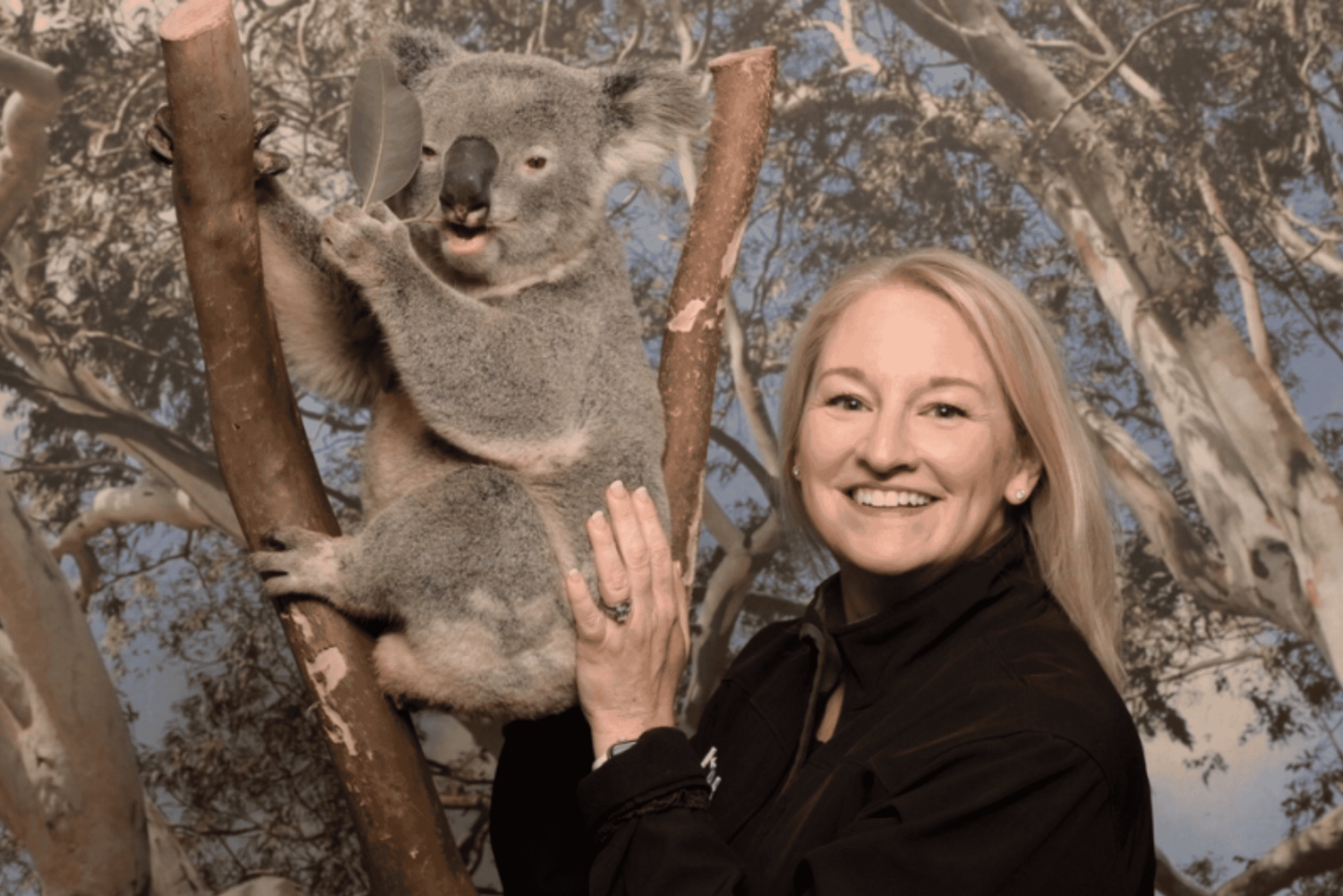 Tour delle Blue Mountains: funivie, koala, canguri (max 10 persone)