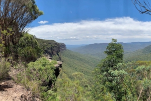 Sydney: Blue Mountains Featherdale and Wentworth Falls Tour