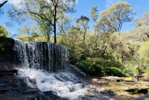 Sydney: Blue Mountains Featherdale and Wentworth Falls Tour