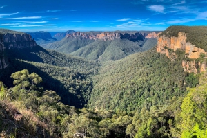 Sydney: Blue Mountains Featherdale and Wentworth Falls Tour