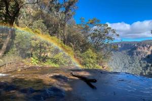 Sydney: Blue Mountains Featherdale and Wentworth Falls Tour