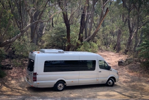 Sydney: Blue Mountains Featherdale and Wentworth Falls Tour