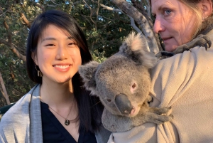 Sydney: Blue Mountains Featherdale and Wentworth Falls Tour