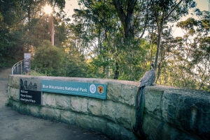 Sydney: Blue Mountains Nature Tour with Dinner