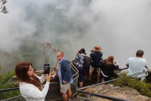 Sydney: Blue Mountains Nature Tour with Dinner