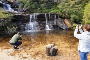 Sydney: Blue Mountains Nature Tour with Dinner