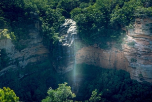 Sydney: Blue Mountains Nature Tour with Dinner