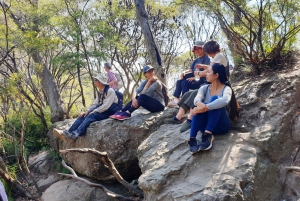 Sydney: Blue Mountains Nature Tour with Dinner