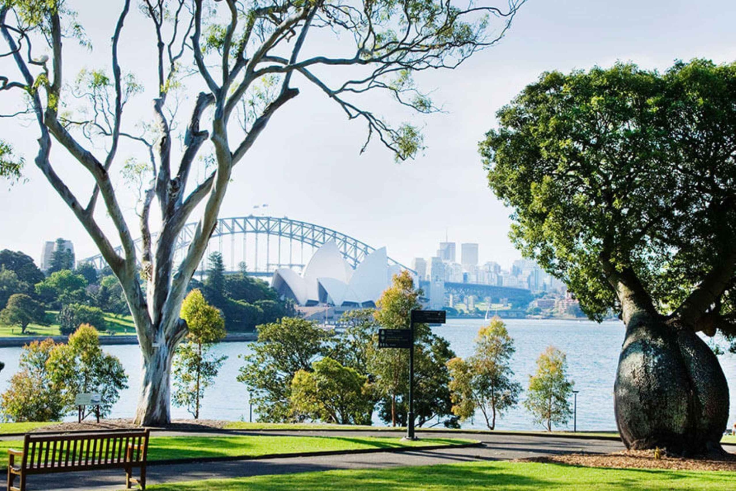 Sydney: Caminhada guiada pela cidade com almoço piquenique