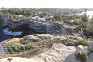 Sydney: Half-Day City Tour