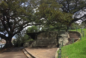 Sydney: Half-Day City Tour