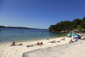 Sydney: Half-Day City Tour