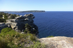 Sydney: Half-Day City Tour