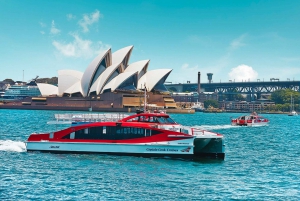 Sydney: Harbour Cruise, Taronga Zoo and Sky Safari