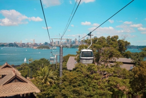 Sydney: Harbour Cruise, Taronga Zoo and Sky Safari