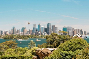 Sydney: Harbour Cruise, Taronga Zoo and Sky Safari