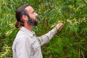 Sydney Harbour National Park 2-Hour Walking Tour