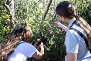 Sydney Harbour National Park 2-Hour Walking Tour