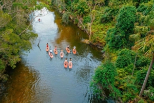 Сидней: тур по лагуне Наррабин на SUP с инструктором