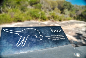 Sydney: South Coast & Countryside Small Group or Private