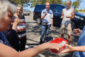 Sydney: South Coast & Countryside Small Group or Private