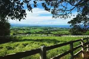 Sydney: South Coast & Countryside Small Group or Private