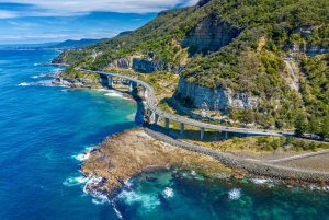 tour privato delle Southern Highlands e della costa meridionale