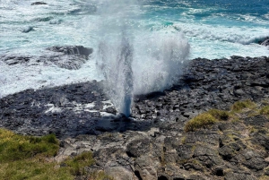 Sydney: Southern Highlands and South Coast Private Tour