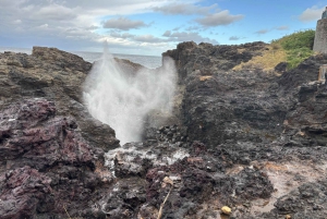 Sydney: Southern Highlands and South Coast Private Tour